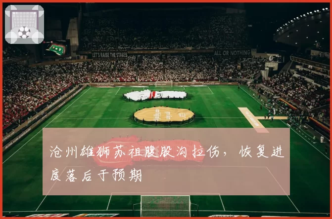 沧州雄狮苏祖腹股沟拉伤，恢复进度落后于预期