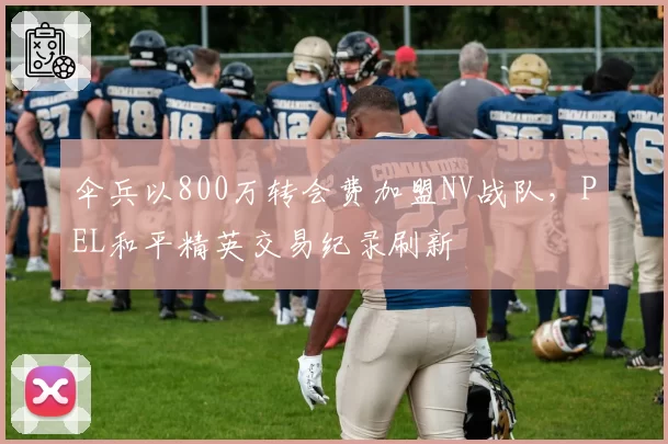 伞兵以800万转会费加盟NV战队,PEL和平精英交易纪录刷新