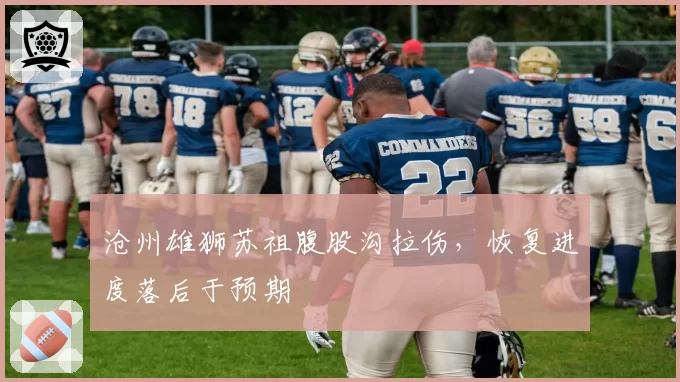 沧州雄狮苏祖腹股沟拉伤,恢复进度落后于预期